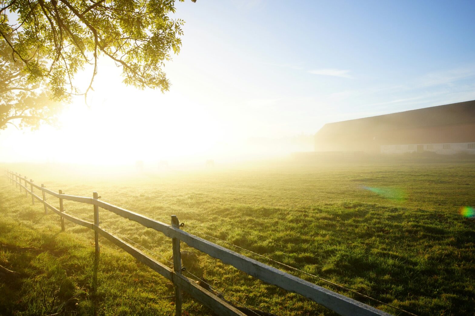 The sun shines brightly on an old pasture bordered by a simple wooden fence.